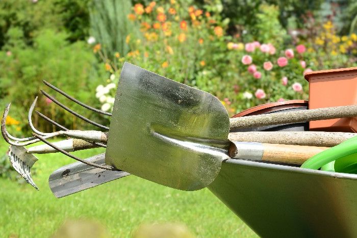 Verschiedenste Gartenwerkzeuge in einer Schubkarre im Garten.